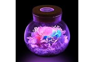 QUELIEN Preserved Colorful Real Rose with Colorful Light Wishing Bottle,Birthday Gifts for Women,Rose in Glass Dome for Mother's Day, Christmas,Anniversary,Valentine's Day