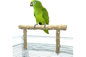 KINTOR Bird Perch Stand, Bird Cage Top Perch Gym,Natural Wood Parrot Branch for Small Medium Large Parrot (M)