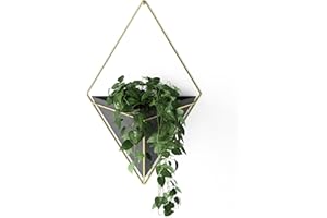 Umbra Trigg Hanging Planter Vase Wall Decor, Pot and Container for Succulents, Cactus, Faux Plants, and More, Large, Black/Brass