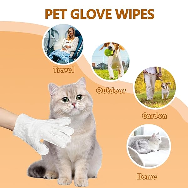 PET WIPES FOR DOGS AND CATS, CAT WIPES DOG WIPES CLEANING DEODORIZING HYPOALLERGENIC CAT WIPES CLEANING FUR AND BUTT PET GROOMING GLOVES FOR DOGS,CAT CLEANING WIPES FOR DAILY CARE AND TRAVELING-6 PCS
