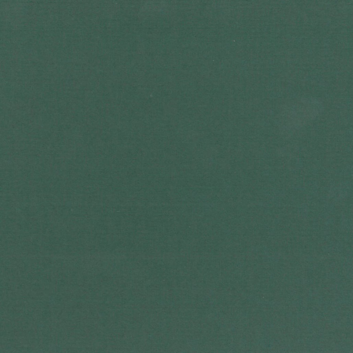 Clairefontaine - Ref 93498C - Ingres Pastel Coloured Paper (Pack of 25 Sheets) - 50 x 65cm, 130gsm Drawing Paper, Deep Green - Suitable for All Dry Techniques