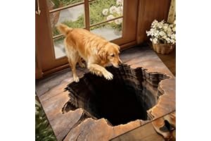 GENERIC 2026 New 3D Optical Illusion Rug Realistic, 3D Rugs Optical Illusion, Trap Optical Illusion Bottomless Non-Slip Doormat, Great for Door Entrance, Bath, and Stair Zones (Style 1-XL (24 × 35 in))