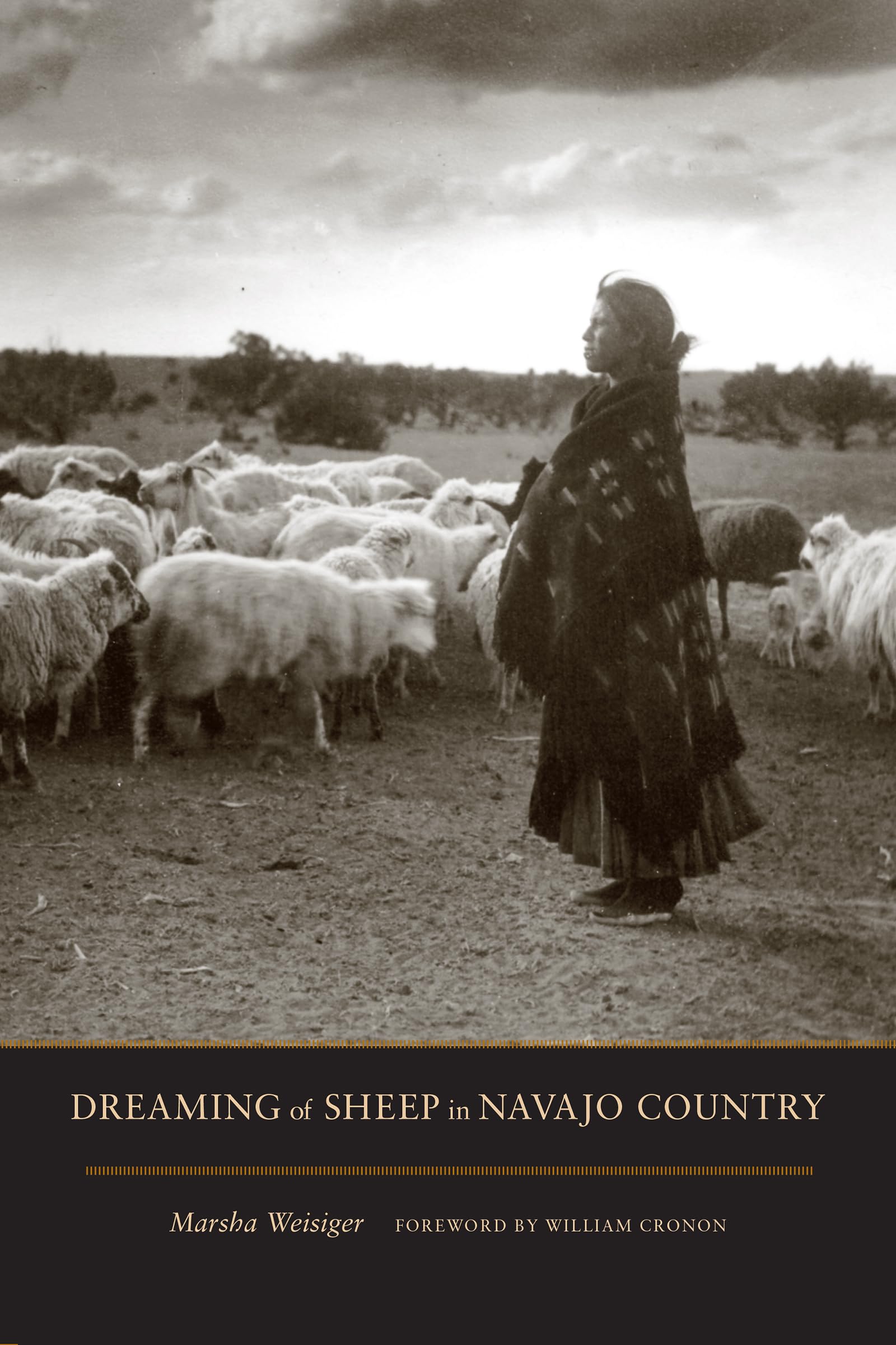Dreaming Of Sheep In Navajo Country