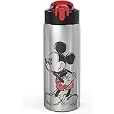 Zak Designs 27oz Disney 18/8 Single Wall Stainless Steel Water Bottle with Flip-up Straw Spout and Locking Spout Cover, Durab