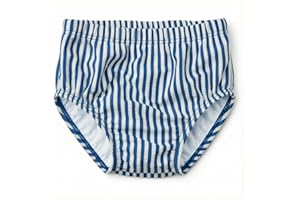 LDIOIF Baby Toddler Boy Swim Diaper Washable Waterproof Reusable Swim Pant Organic Seersucker Blue Stripe Swimsuit 18-24 Month