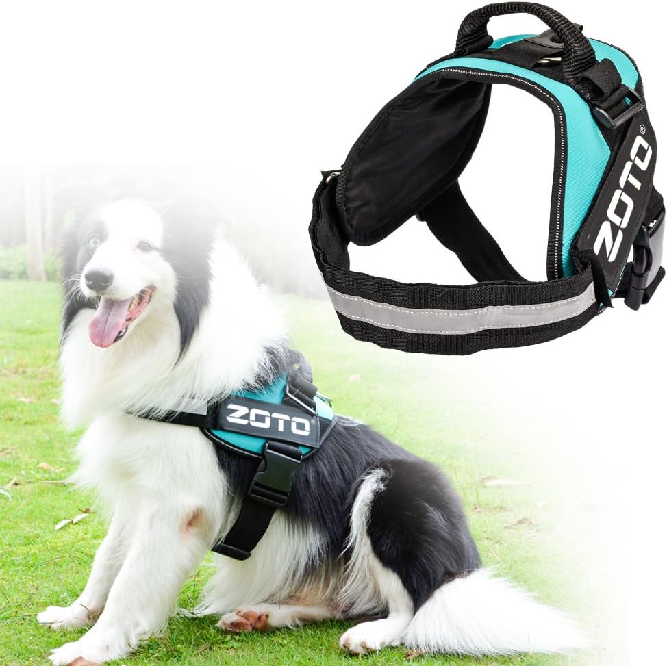 canadian service dog vest