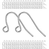 BEADNOVA Earring Hooks 150pcs Stainless Steel Ear Wire Kits with Rubber Backs Earring Hook for Jewelry Making DIY Earwires Supplies (150pcs Ear Wires and 150 pcs Backs, Total 300pcs)