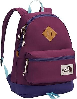 the north face mini backpack