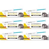 Equine Paste 1.87% &ndash; 6-Pack (6.08g Each) Apple Flavored Oral for Horse