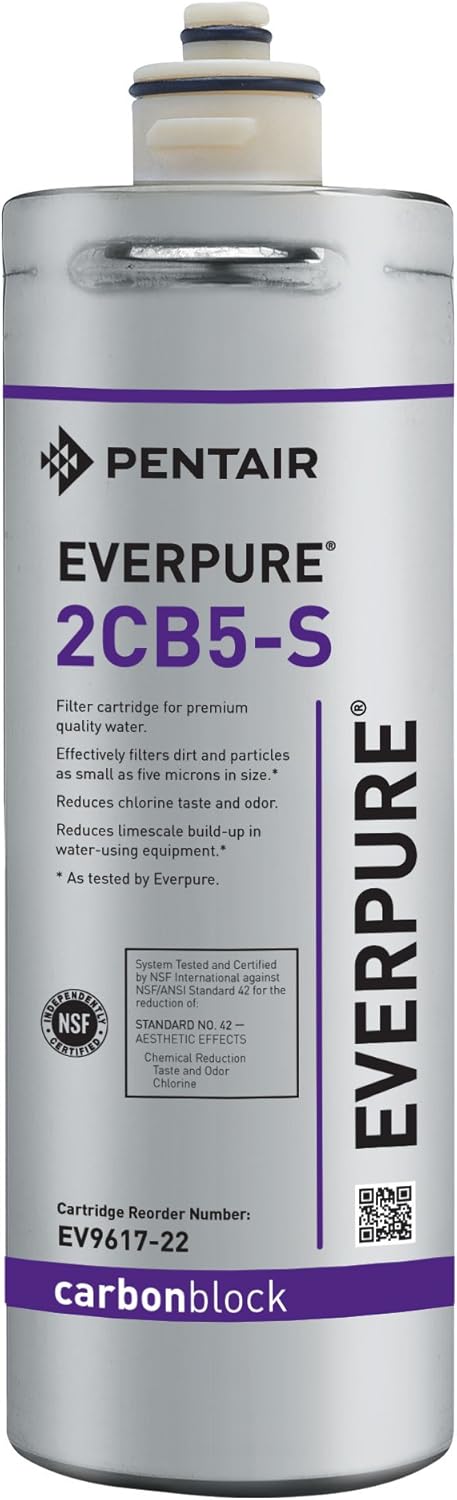 Everpure Replacement EV9617-22 2CB5-S Filter Cartridge, Single Unit