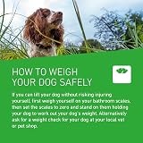 FRONTLINE Plus Flea & Tick Treatment for Medium Dogs 3 Pipettes view 7