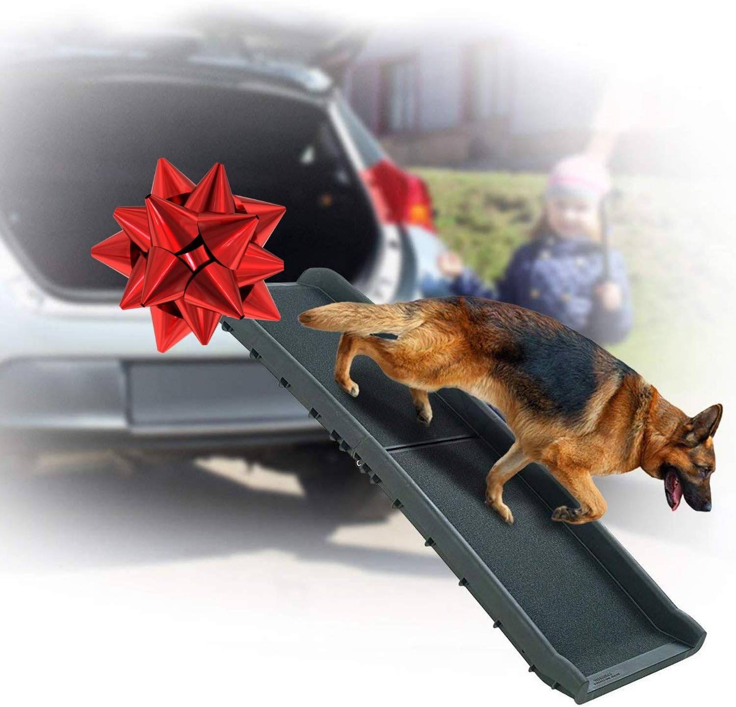 pet ramps for large dogs
