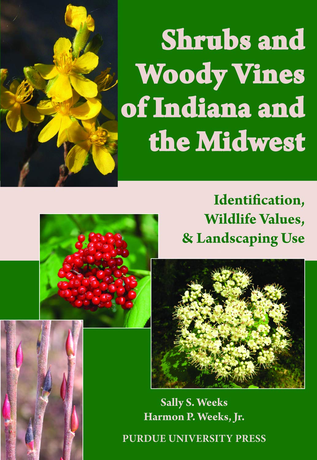 northwest indiana landscapers on Shrubs And Woody Vines Of Indiana And The Midwest Identification Wildlife Values And Landscaping Use Weeks Sally S Weeks Harmon P 9781557536105 Amazon Com Books