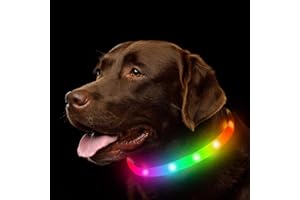 NOVKIN LED Dog Collar, Rechargeable RGB Color Changing Light Up Dog Collars, Waterproof Dog Lights Make Pet Visible and Safety for Night Walking，Outdoor, Camping, for Small Medium Large Dogs