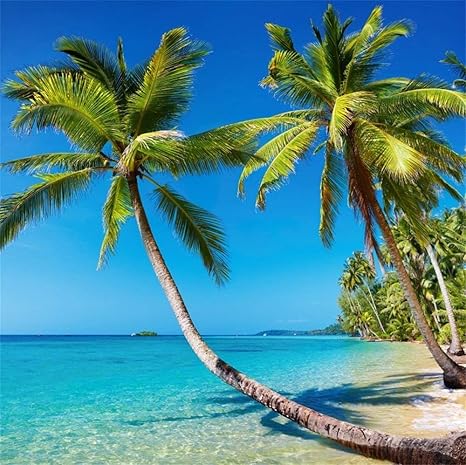 Get Decoracions del casament de platja tropical For Android Free