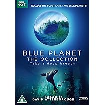 71hoSiss6xL._AC_UL210_SR210,