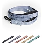 2026 New Edition, Fei & Eve Classic Dog Leash - 4FT, Dual Padded Handles, 360° Swivel Hook, Heavy Duty 210D Nylon - No-Pull Design with Traffic Control Handle - for Small/Medium/Large Dogs, Blue