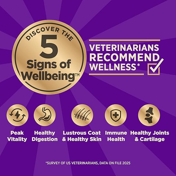 WELLNESS CORE+ ADULT DRY DOG FOOD WITH FREEZE DRIED PIECES, WHOLESOME GRAIN KIBBLE+, NATURAL, HIGH PROTEIN, CHICKEN FREE, WHITEFISH, HERRING, AND SALMON RECIPE, 4 LB BAG