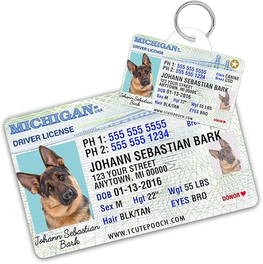 dog id driver's license