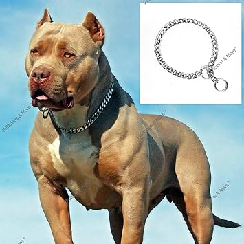 Petlicious & More Dog's Chrome Plated Training Choke Chain Collars (22 Inch Collar/2 cm Thick)
