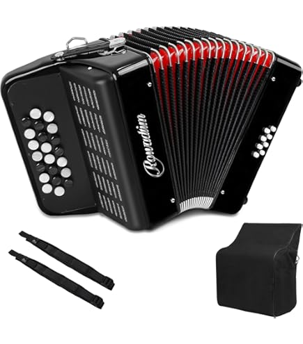 Amazon.com: 22 Key 8 Bass Accordion, Acordeones Para Adultos