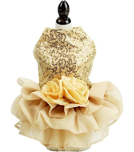 Amazon.com: Dog Gold Dress