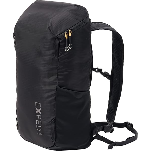 Amazon.com | Gregory (Day Pack) official Black Backpack [Japan