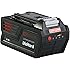 Amazon.com : CRAFTSMAN 40V MAX Battery, Lithium Ion (CMCB98027) : Garden & Outdoor