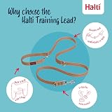 Halti Training Lead Double-Ended No-Pull Large Desert Sand 2m view 3