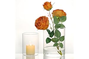 SUPMIND 2Pcs Glass Vases for Centerpieces, Cylinder Flower Clear Vase Bulk Hurricane Candle Holder Fall Vase Filler Set with LED Light for Wedding Table Centerpieces Autumn Farmhouse Decoration