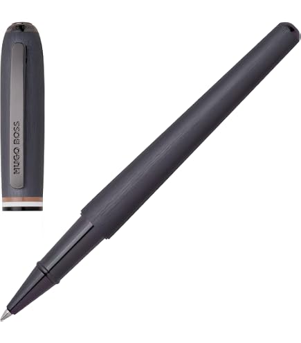 Amazon.com : Hugo Boss Icon Fountain Pen : Office Products