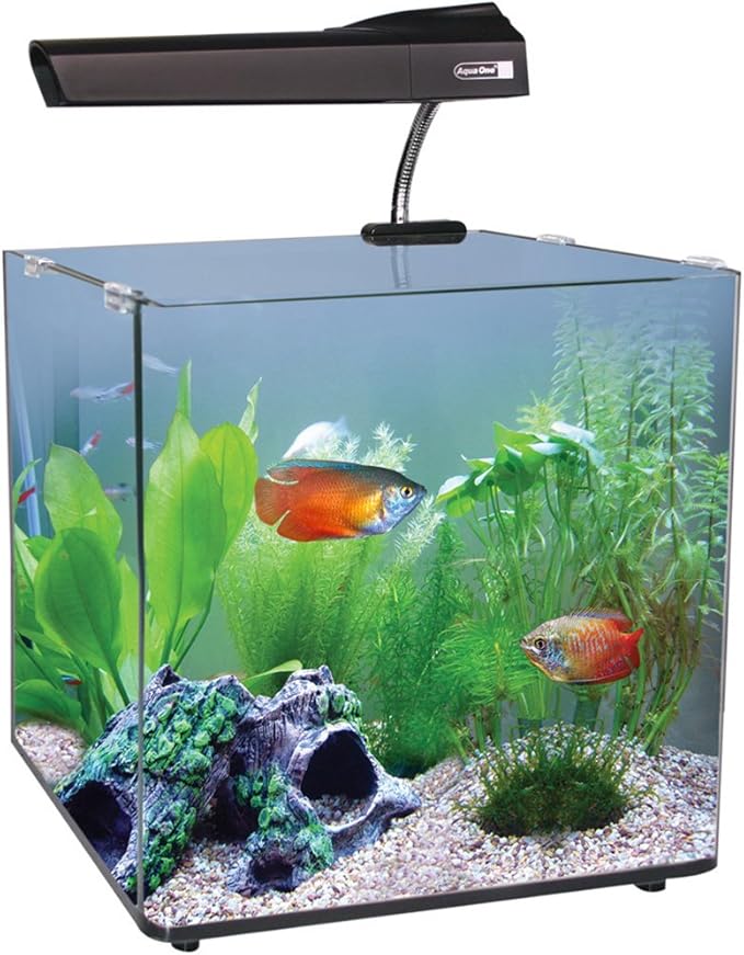 Aqua One Aqua Nano 40 55L Complete Tropical Glass Aquarium Set, 40 cm