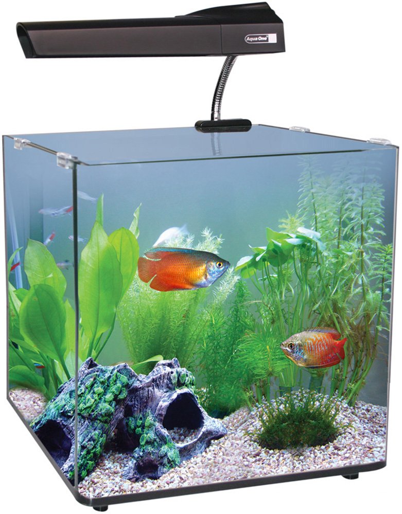 Aqua One Aqua Nano 40 55L Complete Tropical Glass Aquarium Set, 40 cm
