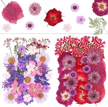Amazon Com 67 Pcs Real Dried Pressed Flowers Pressed Floral Leaves Herbarium Plant Bulk For Art Crafts Diy Phone Case Jewelry Nail Pendant Candle Soap Decors