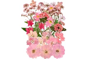TIGGELL 37pcs Natural Dried Flowers Mixed Multi-Color Pressed Flower Mini Rose Hydrangea Daisy for Art Craft DIY Resin Nail Art Floral Decors
