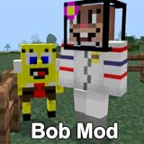 Bob Mod