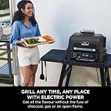 Ninja Woodfire Pro XL Electric BBQ Grill & Smoker 4 in 1 Grey/Black view 9