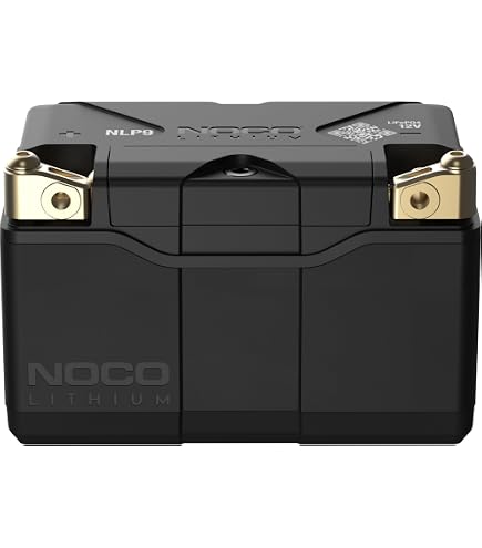 Amazon.com: Fire Power Featherweight Lithium Battery 240 CCA