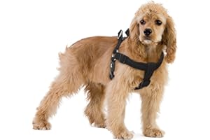 KRUZ PET Kruz No Pull Dog Harness (Chest 21”-30”, Weight 22-53 lbs) Heavy-Duty Pet Harness for Medium Breeds, Ultra-Comfort Fit, Lifetime Durability, Adjustable Dog Harness No Pull Design (Black, Medium)