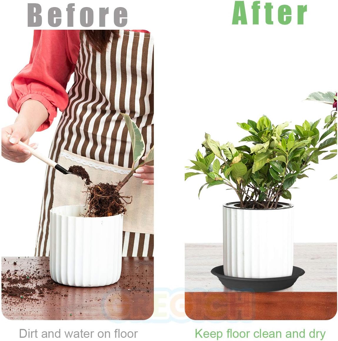 GREGICH 6 Pack Plastic Plant Saucer Drip Trays, 4 6 8 10 12 Inch Plant Saucers for Indoors Outdoor Plant, Thick Heavy Durable Sturdy Flower Pot Saucers Plant Trays for Pots Planter : Garden & Outdoor
