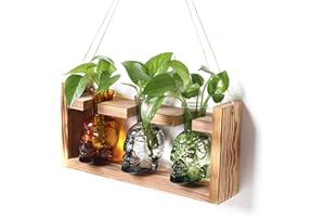 YYHGLASS Plant Terrarium Propagation Stations Hydroponics Halloween Skull Planter Vase Skulls Decor with Wooden Stand Gift for Father