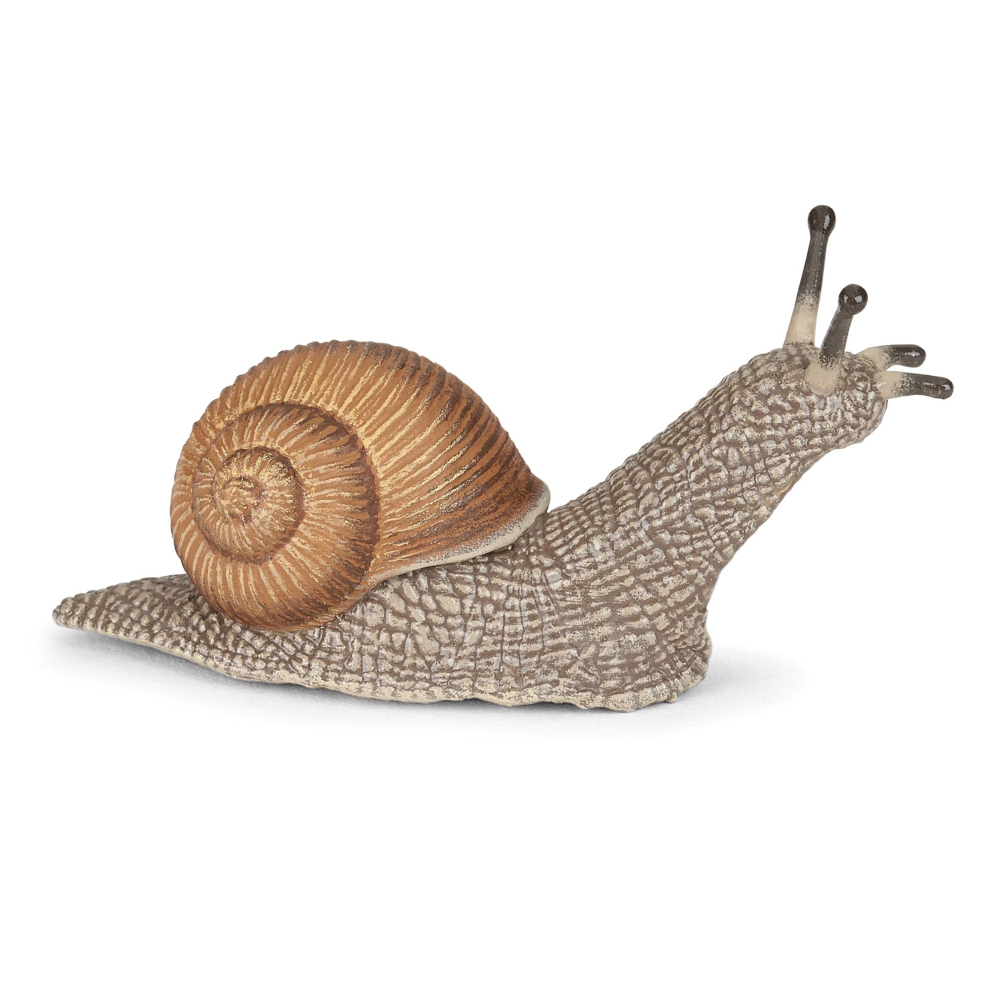 Papo - Snail Figure - Ages 3+ - Realistic Miniature Animal - Garden Animals Collection - Ultra Detailed - Develops Imagination - Toy for Kids - Educational Game Gift Idea