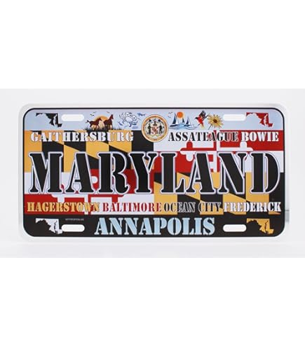 Washington D.C. Decorative Metal Plate - Large Home Decor With Historic Landmarks