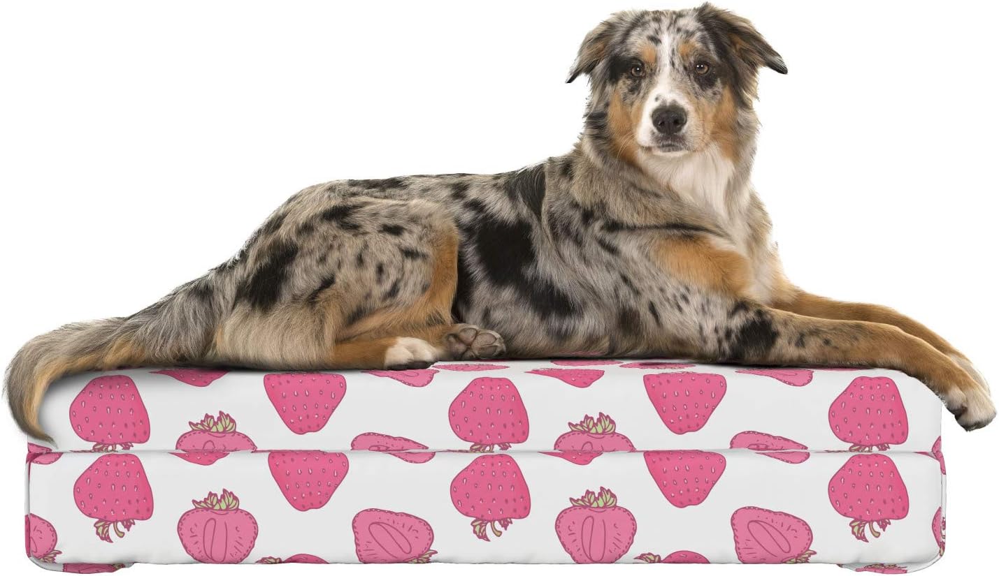 happy treat dog bed