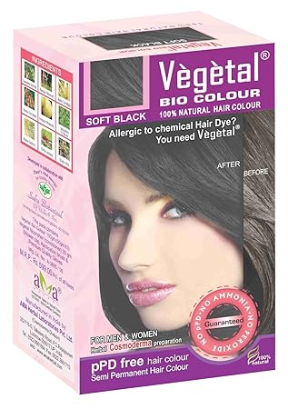 Amazon Com Vegetal Bio Colour Soft Black 50gm Pack Of 3 Beauty
