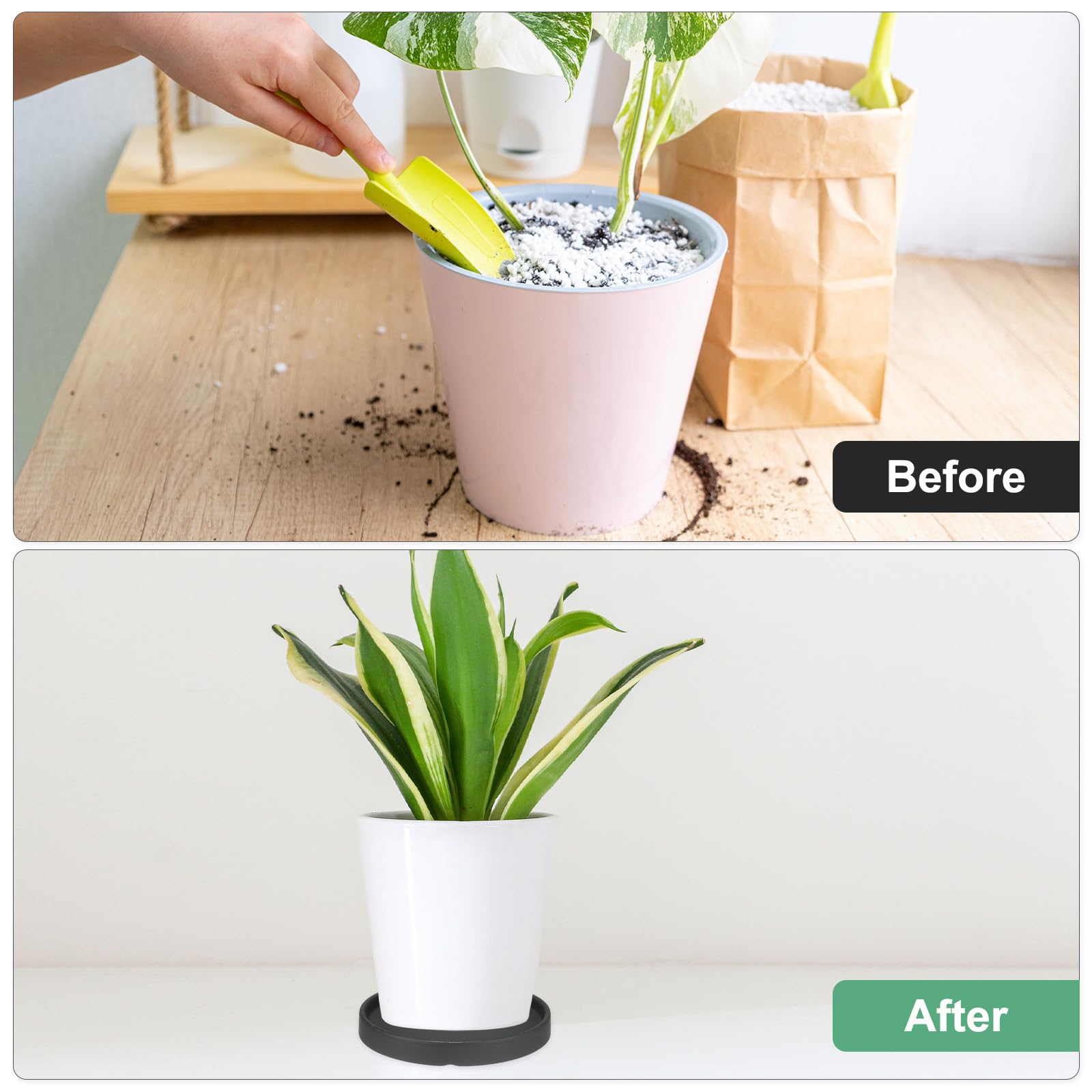 View 6