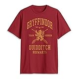 Warner Bros Gryffindor Quidditch Seeker Premium