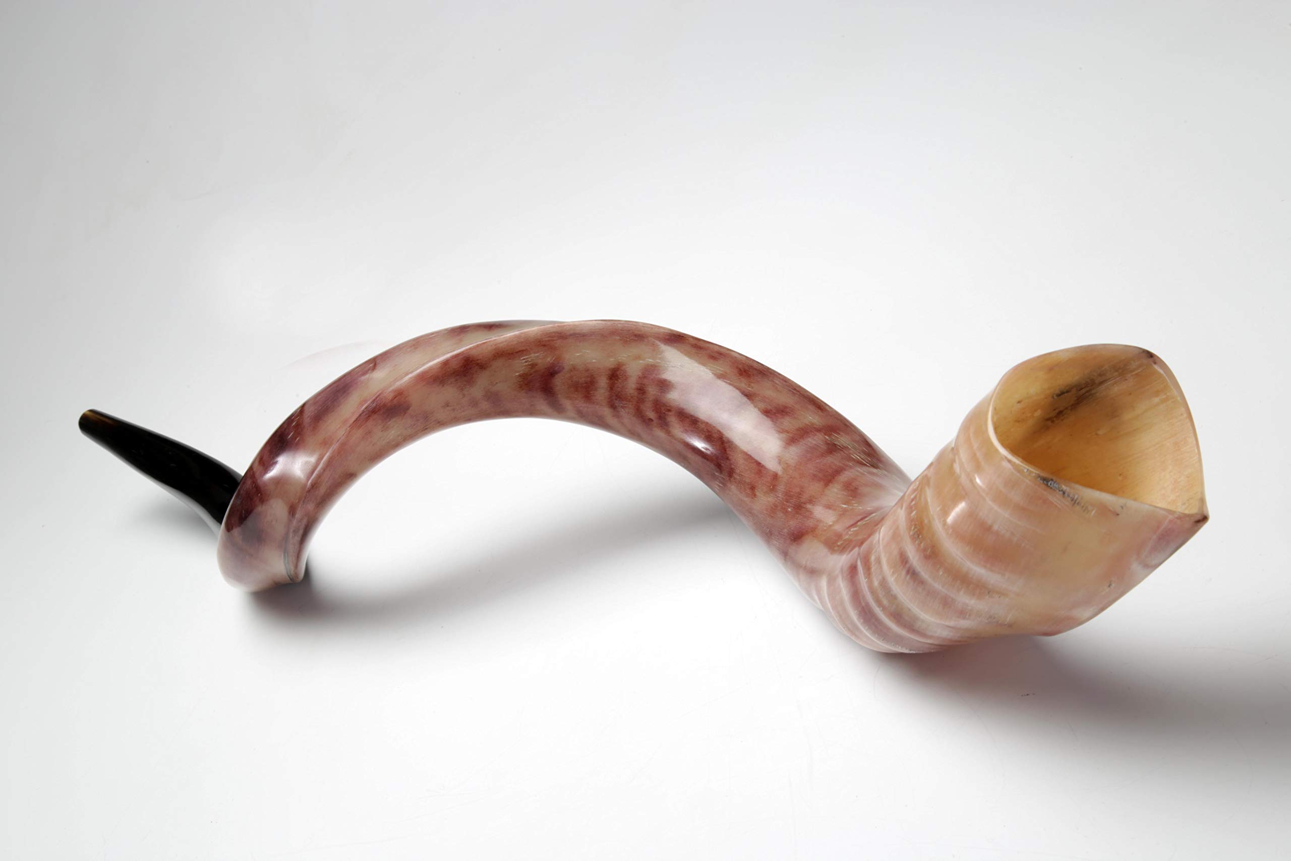 Photo 1 of New Shofarot Israel Kosher Yemenite Kudo kudu Shofar Size 27"-29" full Polish With Free Olive shofar Bag
