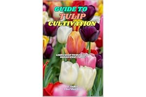 Guide to Tulip Cultivation: Learn what to do to grow magnificent Tulips