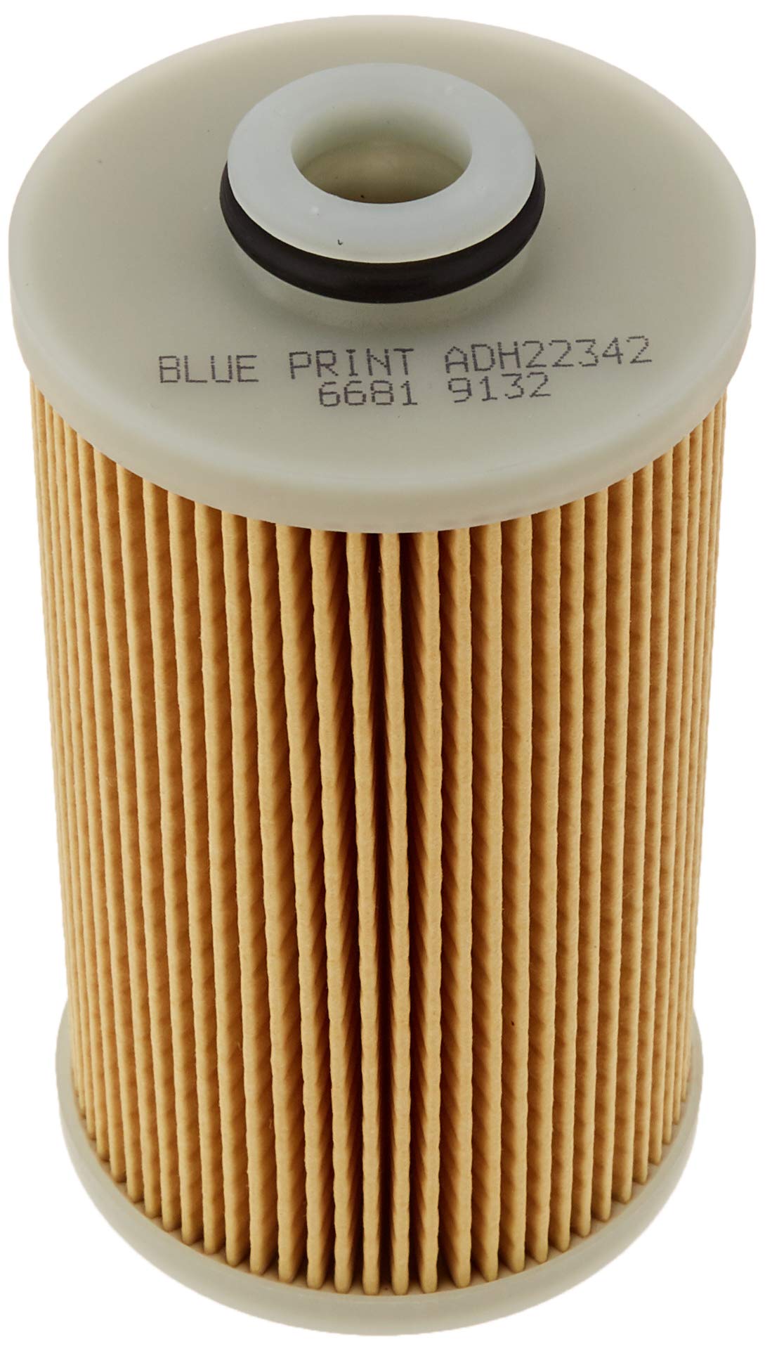 Blue Print ADH22342 Fuel Filter